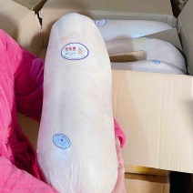 茶猪乳猪厂家货源价格品质保证欢迎全国老板合作