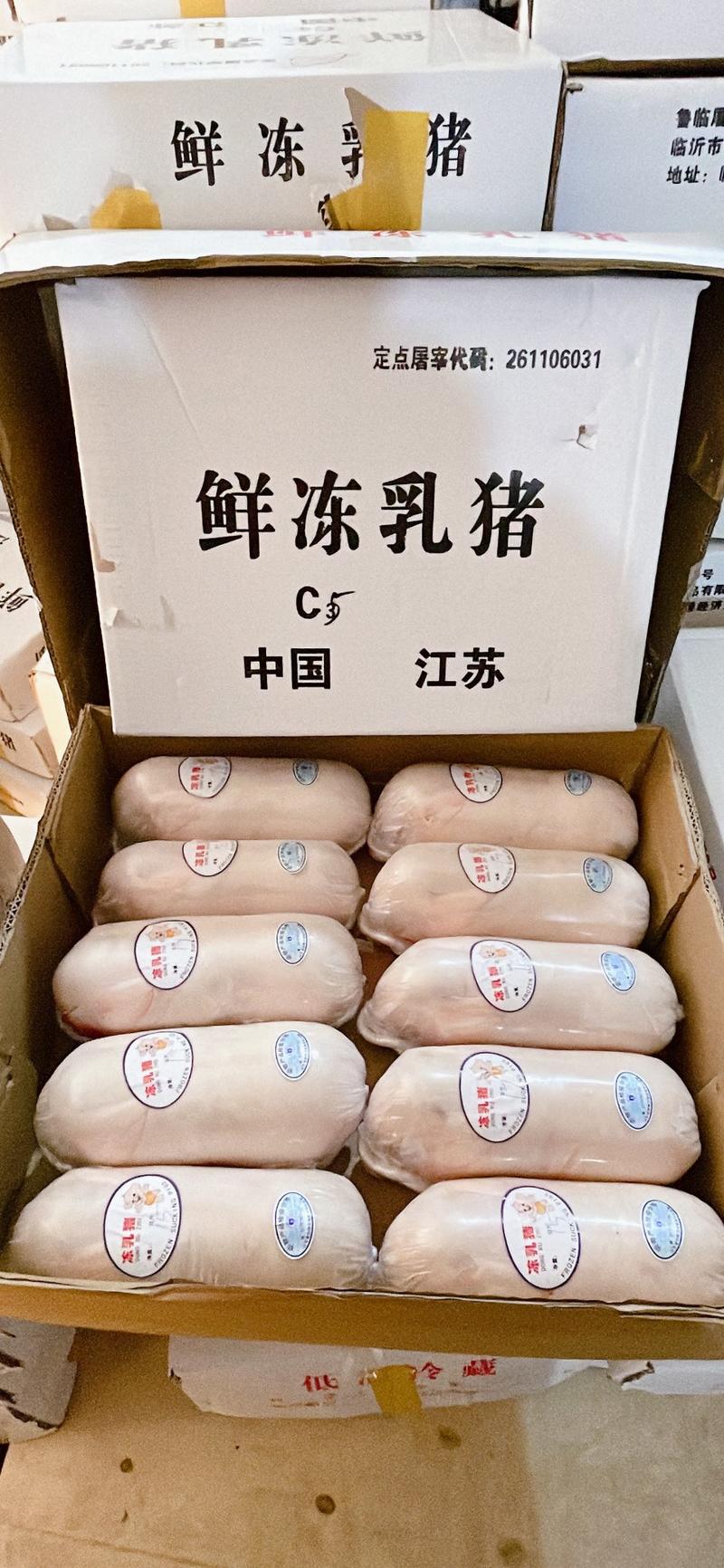 【精品】鲜冻乳猪厂家货源供应稳定价格优惠欢迎全国老板合作