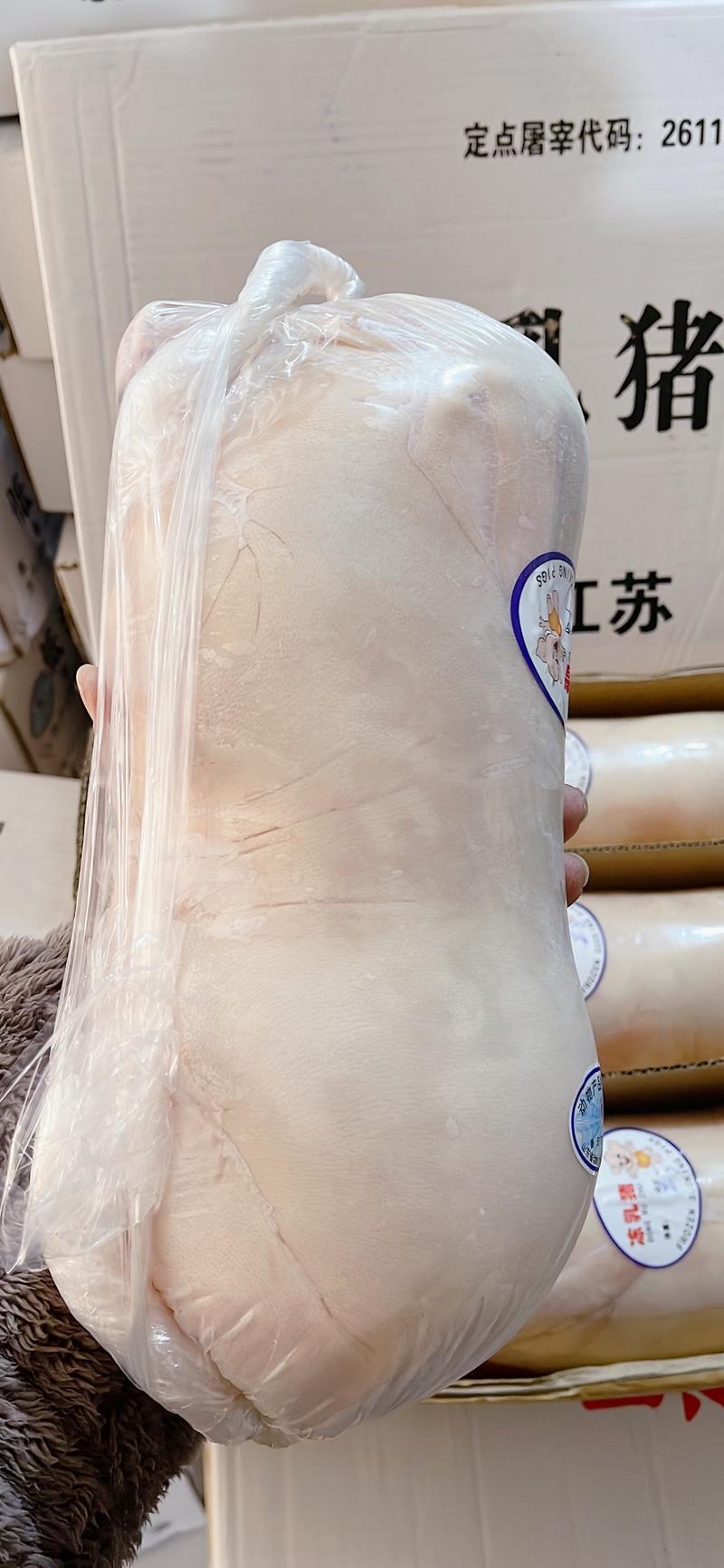 【精品】鲜冻乳猪厂家货源供应稳定价格优惠欢迎全国老板合作