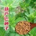 葫芦巴种子胡芦巴胡卢巴一年生叶宝菜籽别称香草香豆种子可