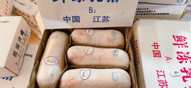 【精品】鲜冻乳猪批发工厂店一手货源供应稳定欢迎老板合作