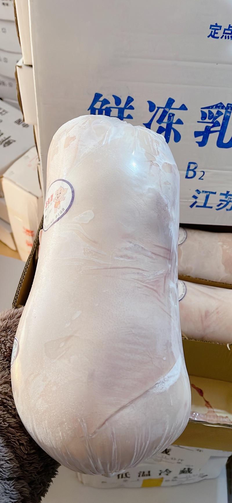 【精品】鲜冻乳猪批发工厂店一手货源供应稳定欢迎老板合作