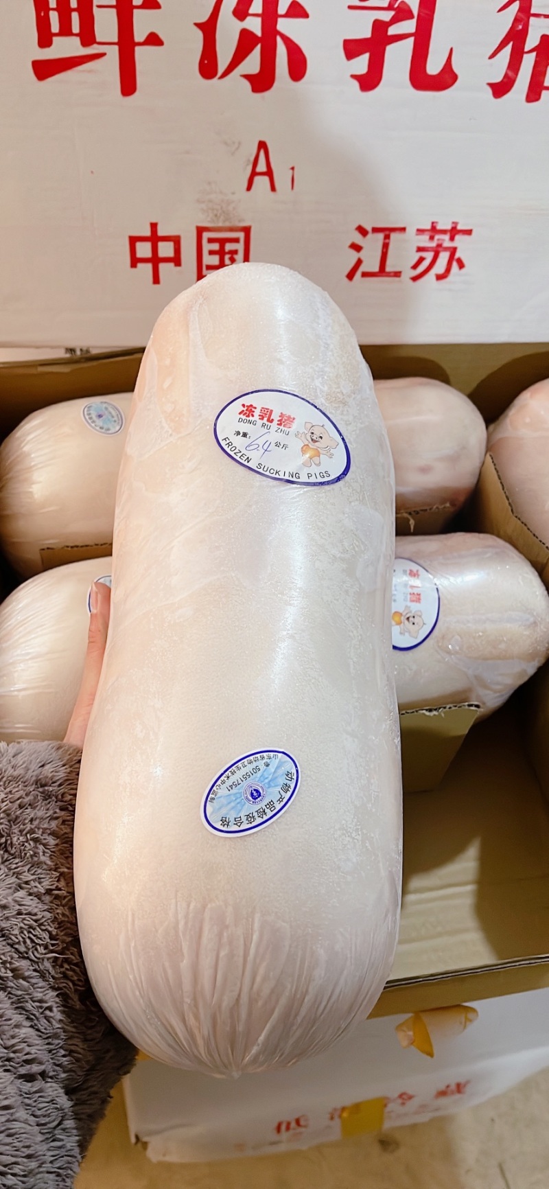 鲜冻乳猪，源头厂家直发，品质保障欢迎新老客户采购！