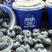 精品蓝莓纯脆甜带花香L25产地一手货源对接电商市场