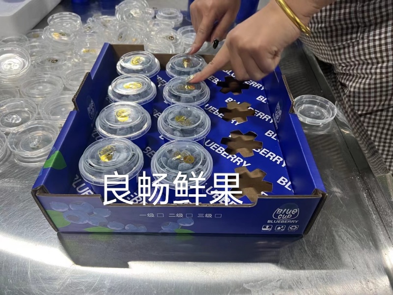 纯甜蓝莓精品蓝莓产地直发口感香甜对接商超社区团购等