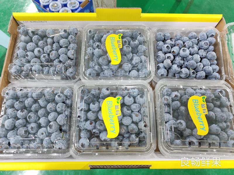 纯甜蓝莓精品蓝莓产地直发口感香甜对接商超社区团购等