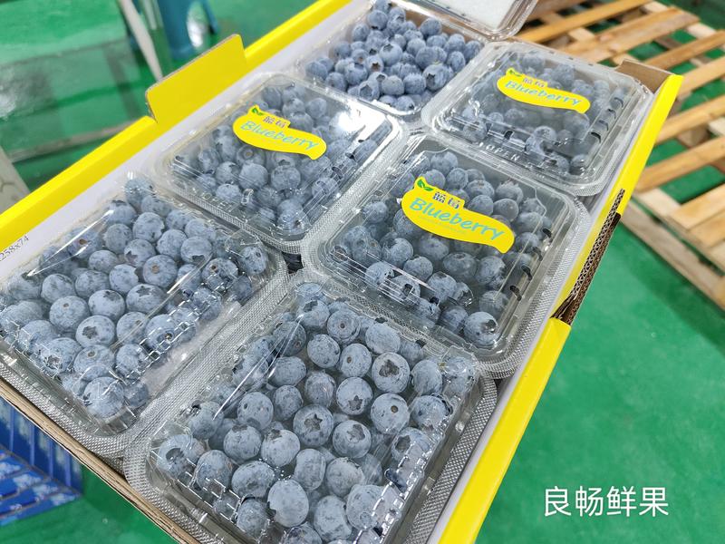 纯甜蓝莓精品蓝莓产地直发口感香甜对接商超社区团购等