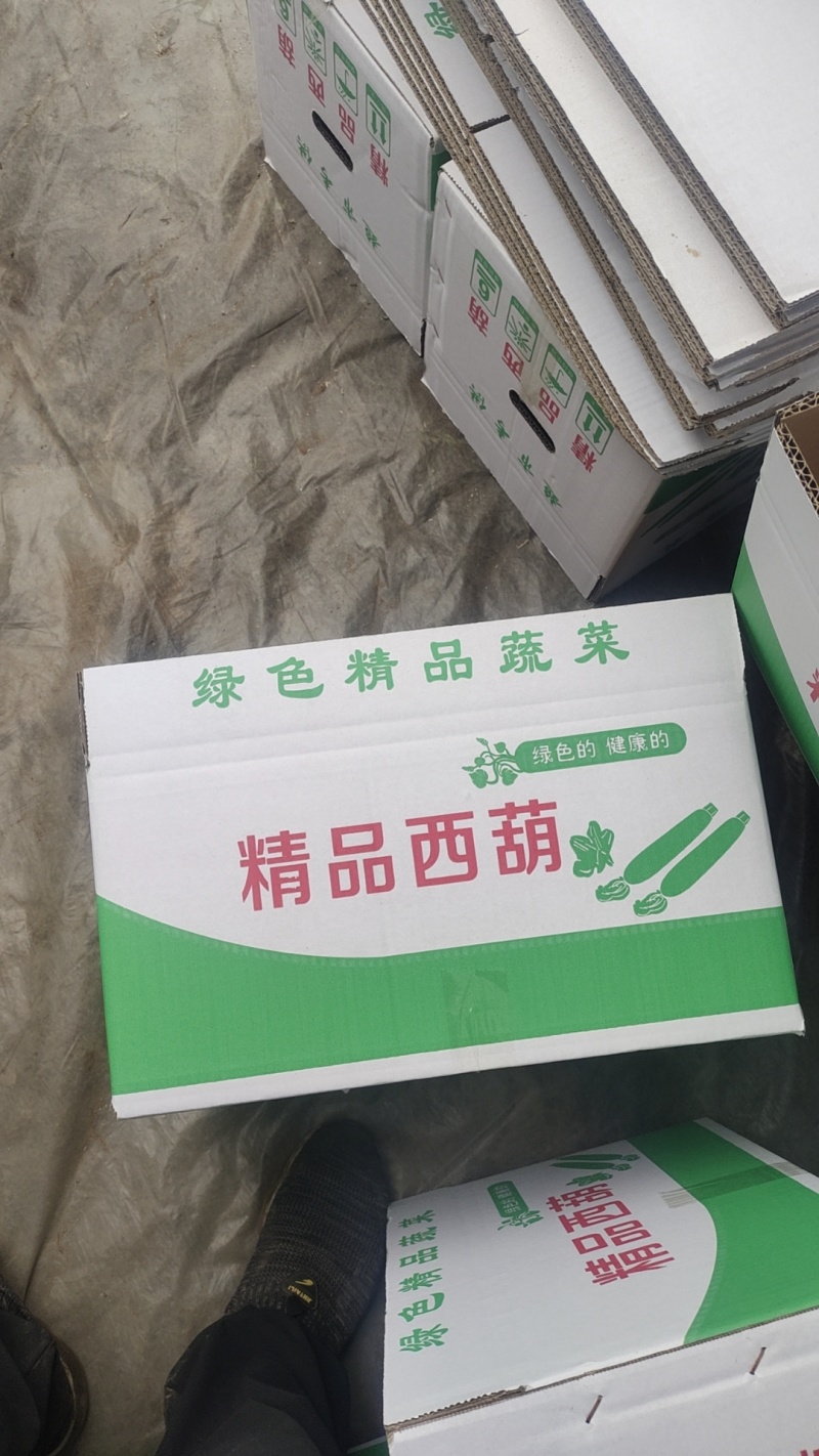 西葫芦