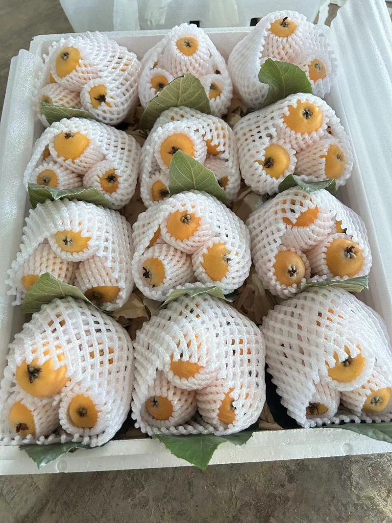 蒙自枇杷