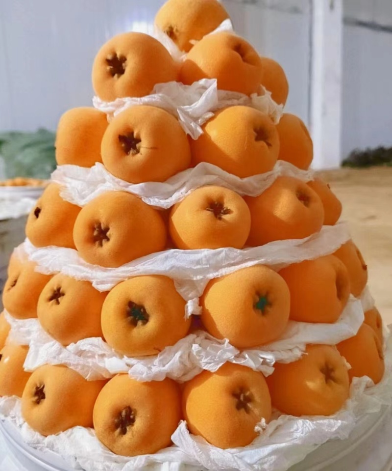 蒙自枇杷