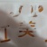 红美人精品水果5斤装/箱