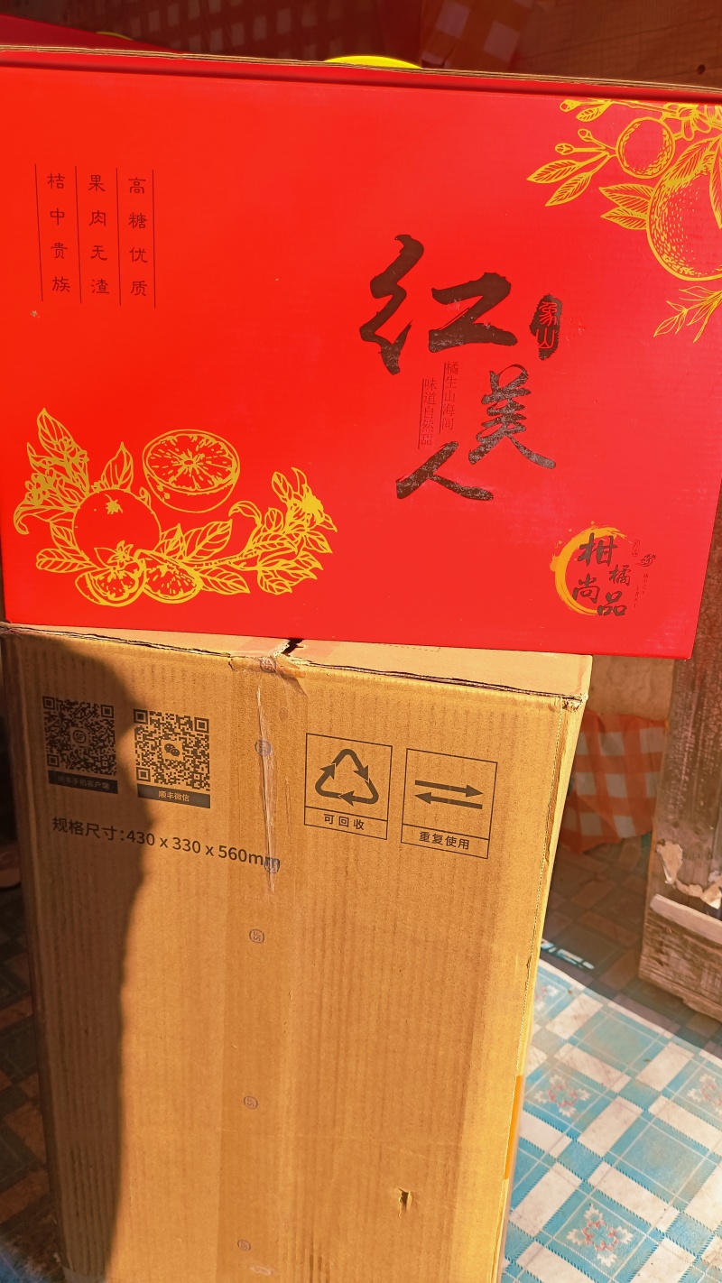 红美人精品水果5斤装/箱