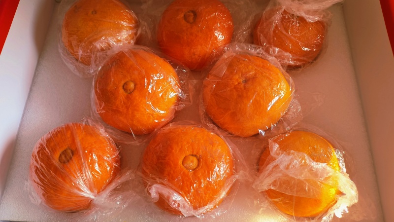 红美人精品水果5斤装/箱