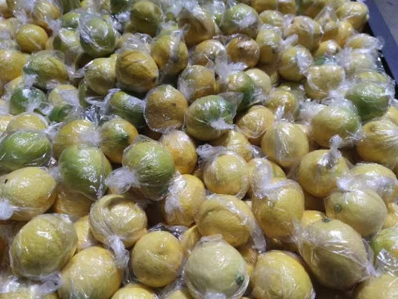 新鲜黄柠檬安岳黄柠檬多汁专用奶茶特产新鲜