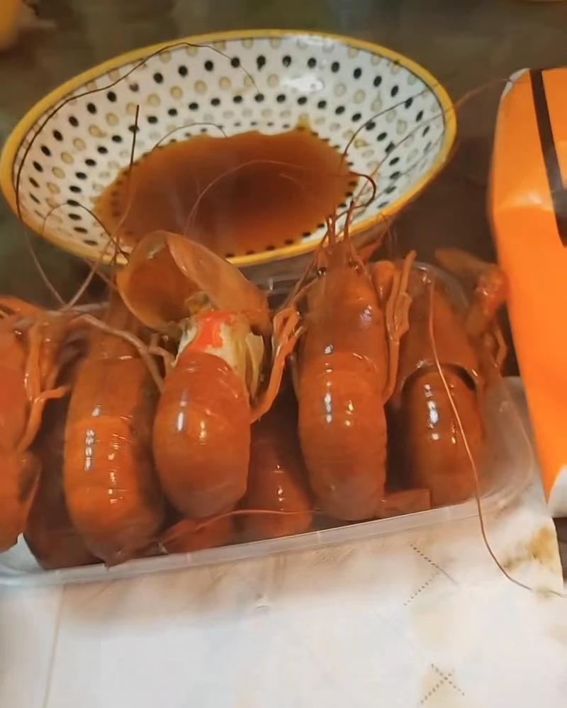 澳洲小蓝龙龙虾龙虾一手货源量大从优质量保证欢迎咨询