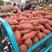 西瓜红精品热卖中，山东省邹城市，产地直销，欢迎订购，