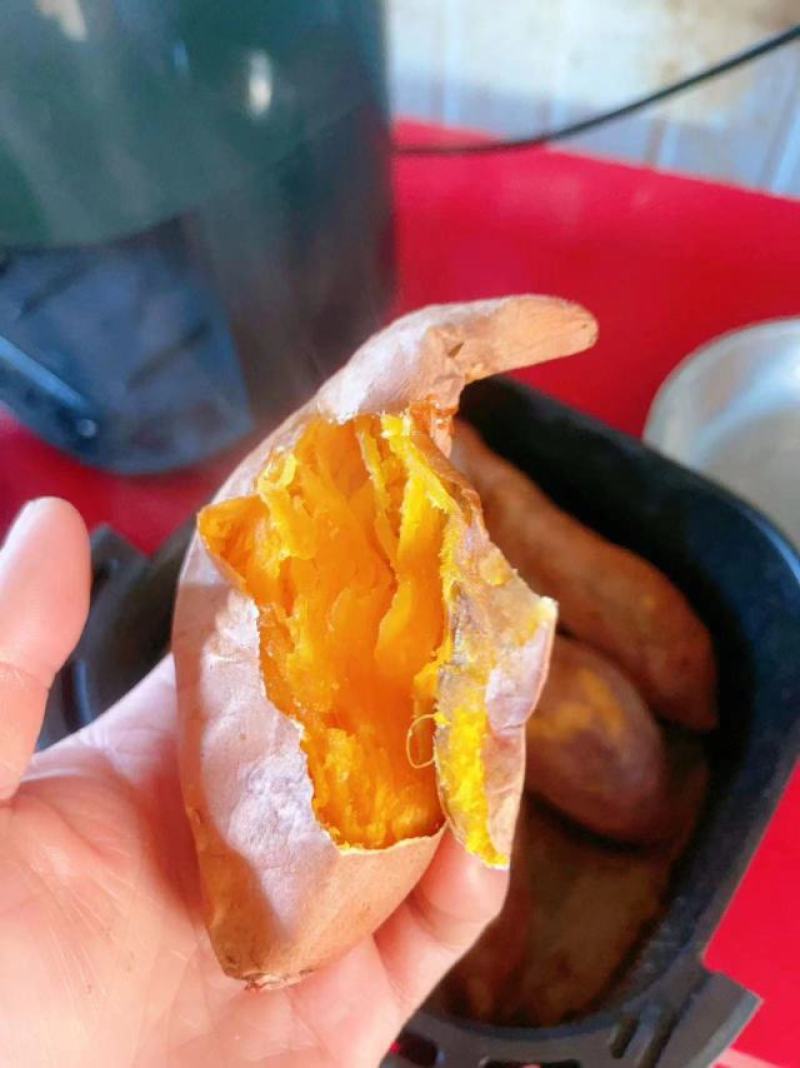 龙薯九上市大量有货欢迎有兴趣的老板来实地考察