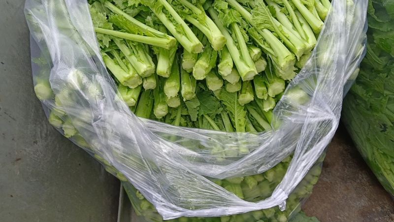 油菜苔