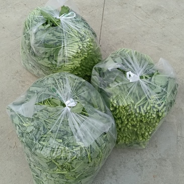 油菜苔