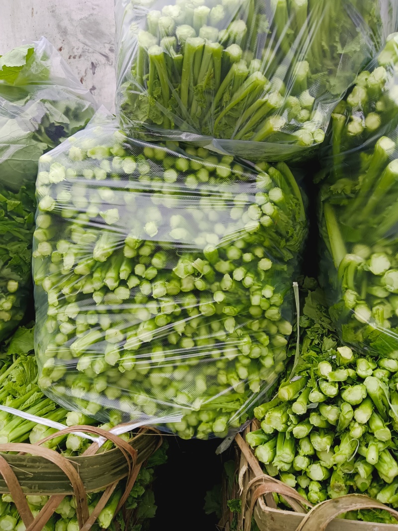 油菜苔