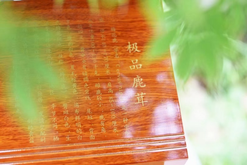 梅花鹿茸片双面礼盒，送礼高大上，煲汤取三片。到五片。
