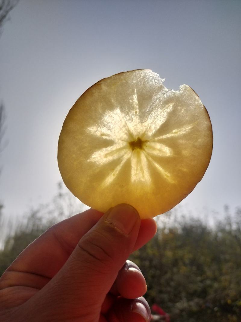 新疆阿克苏苹果