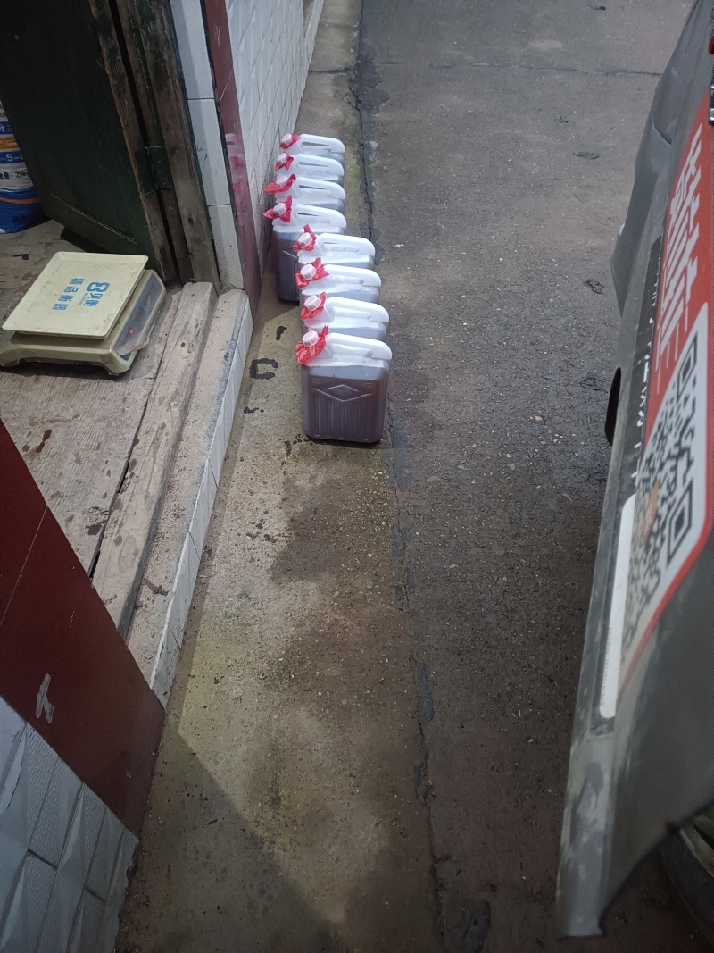 野生茶油