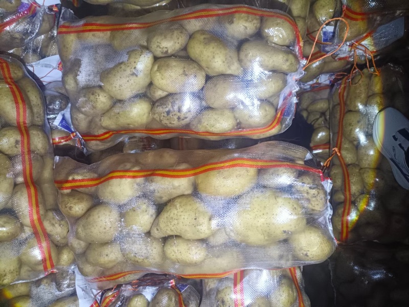 河北承德产地V7土豆自己种植基地一手货源欢迎致电合作