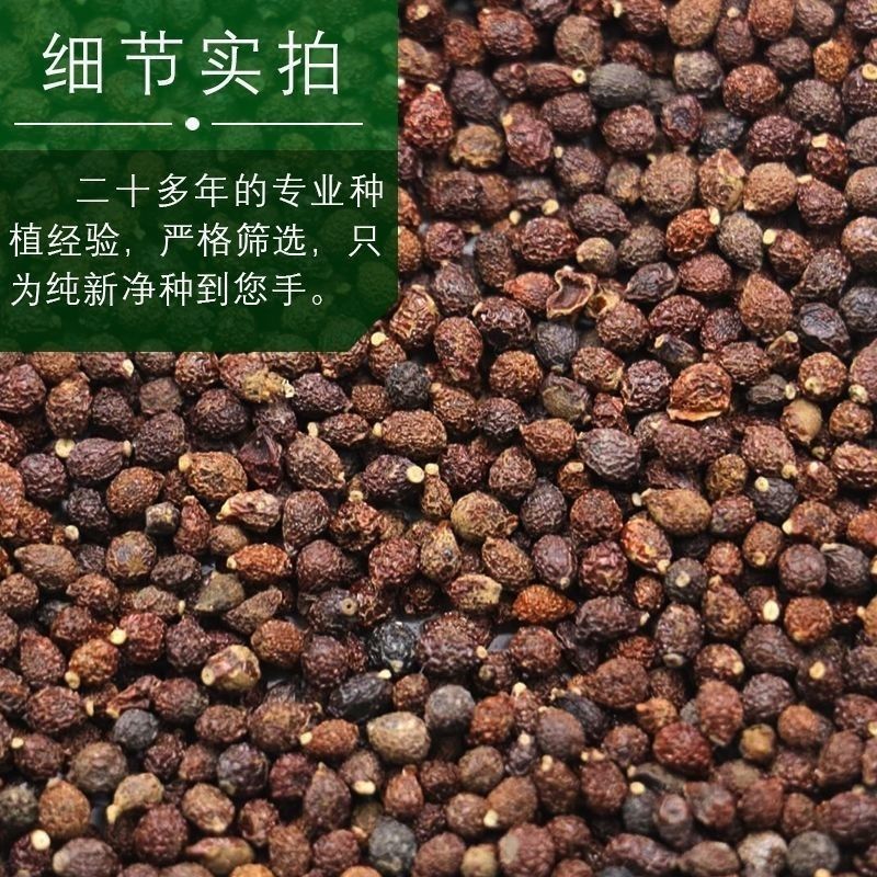 蓝花鸢尾种子兰蓝蝴蝶鸽子花燕尾盆栽中国鸢尾沃美鸢尾花种籽