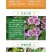 花种子锦葵种子荆葵金钱紫花葵花种籽子四季易活高杆露天庭院