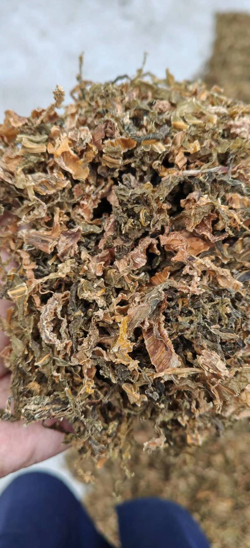温州芥菜梅干菜精品梅干菜货源充足供应全国量大从优