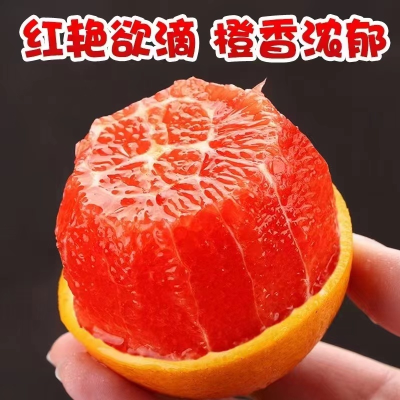 湖北中华红血橙可订园看货，对接市场，超市电商