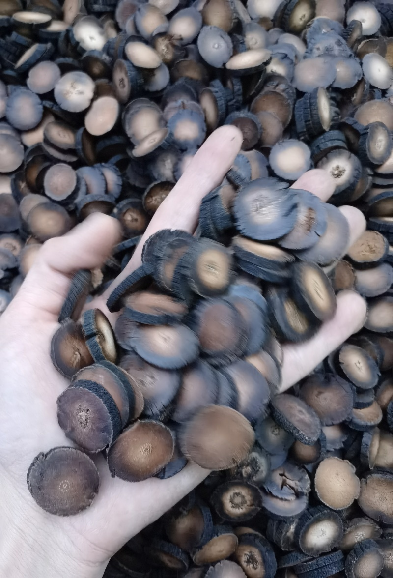 陈年化橘红老果片