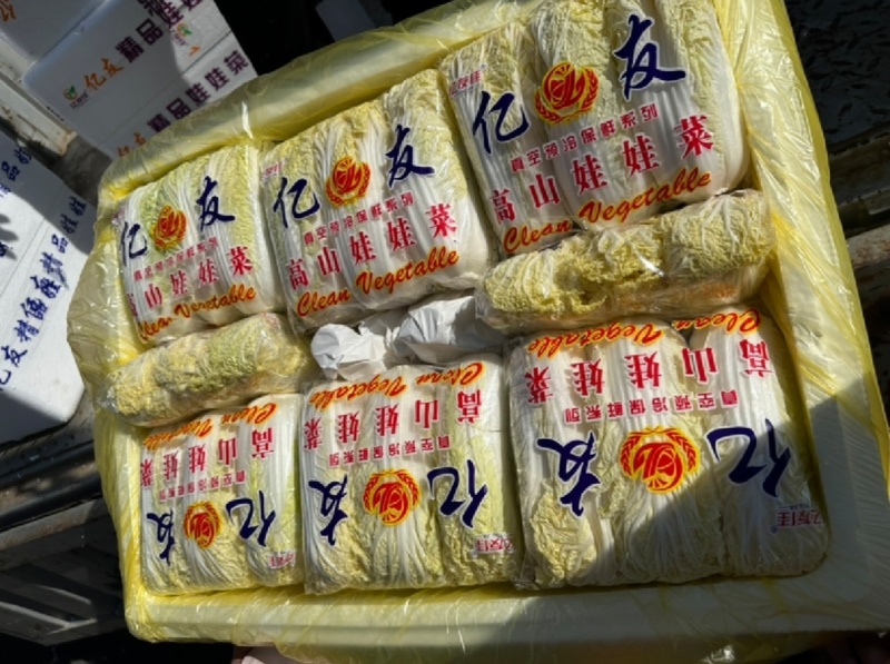 《云南》高山娃娃菜，欢迎来电选购，质量保证，可加工大量