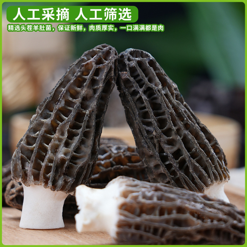 新鲜羊肚菌2024年现货云南羊肚菌新鲜1000克菌菇特产