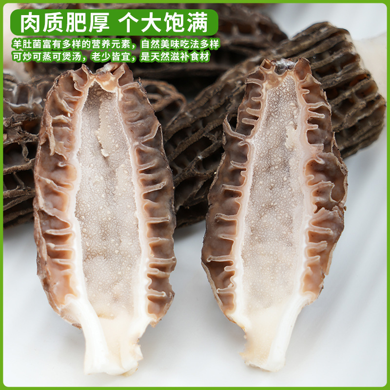 新鲜羊肚菌2024年现货云南羊肚菌新鲜1000克菌菇特产