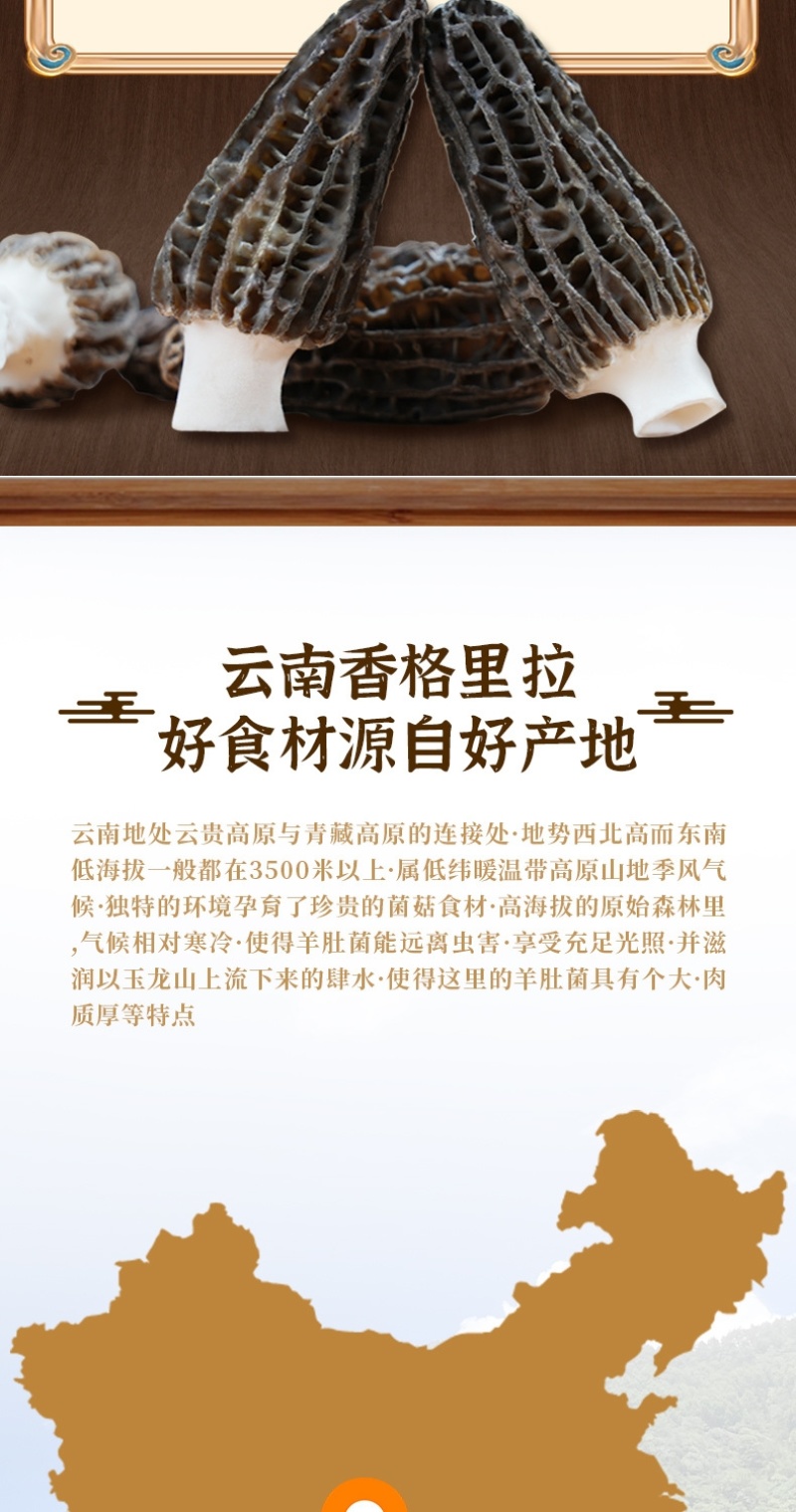 新鲜羊肚菌2024年现货云南羊肚菌新鲜1000克菌菇特产