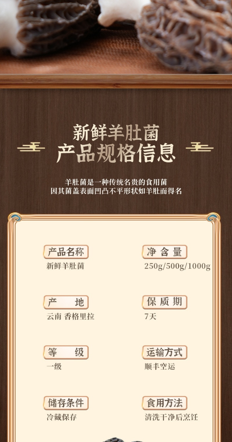新鲜羊肚菌2024年现货云南羊肚菌新鲜1000克菌菇特产