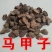 当年马甲子种子马甲子种子脱壳树种篱笆刺种子种植鸟不站刺树