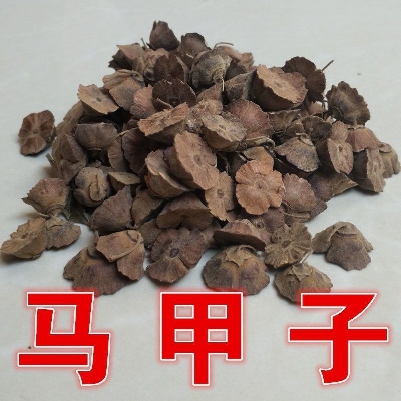 当年马甲子种子马甲子种子脱壳树种篱笆刺种子种植鸟不站刺树