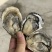 福建三倍体，一手货源，当天打捞当天发货，支持预约。