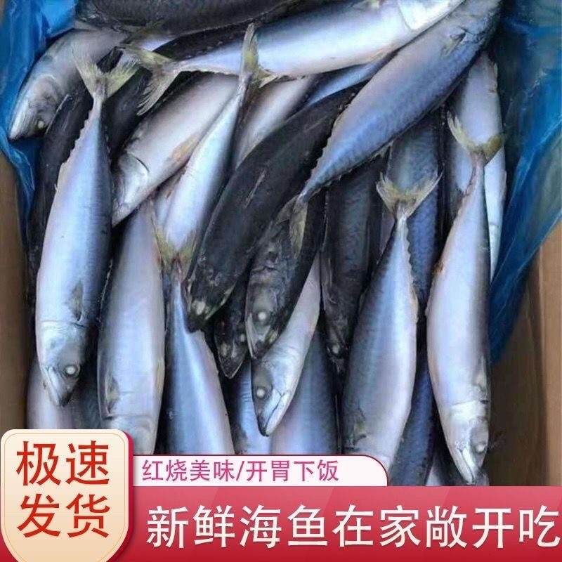 鲐鲅鱼对接个大电商社区团购批发零售一件代发