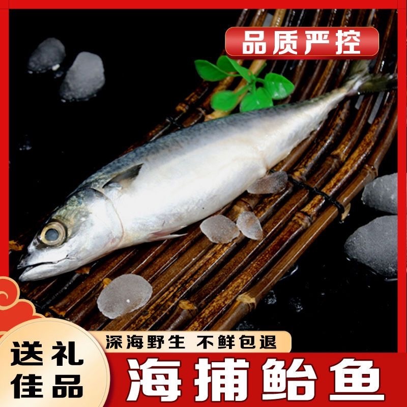 鲐鲅鱼对接个大电商社区团购批发零售一件代发