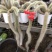 九尾狐多肉植物仙人柱浓白毛软毛花盆组合奇趣盆栽树防辐射