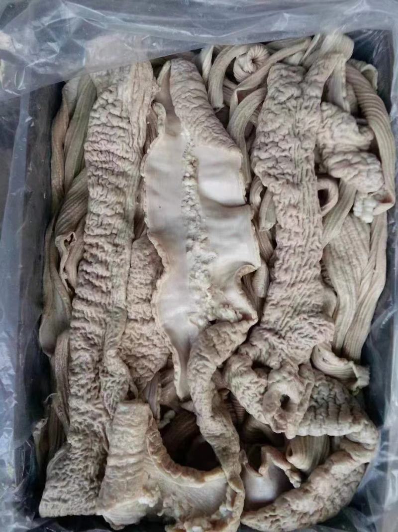 牛大肠，牛伞带，阳信县清真副产品，实拍现发欢迎下单