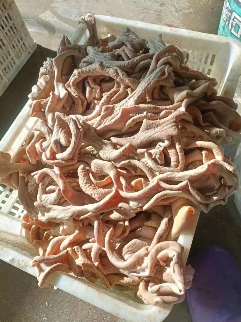 牛大肠，牛伞带，阳信县清真副产品，实拍现发欢迎下单