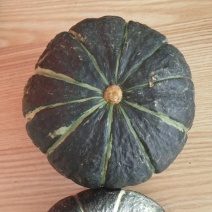精品南方地爬贝贝南瓜，软糯香甜，爆粉品质，市场货，电商货