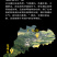 【化州发货】25年化橘红道地药材化州橘红多规格可选包邮