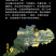 【化州发货】25年化橘红满天星道地药材化州橘红包邮