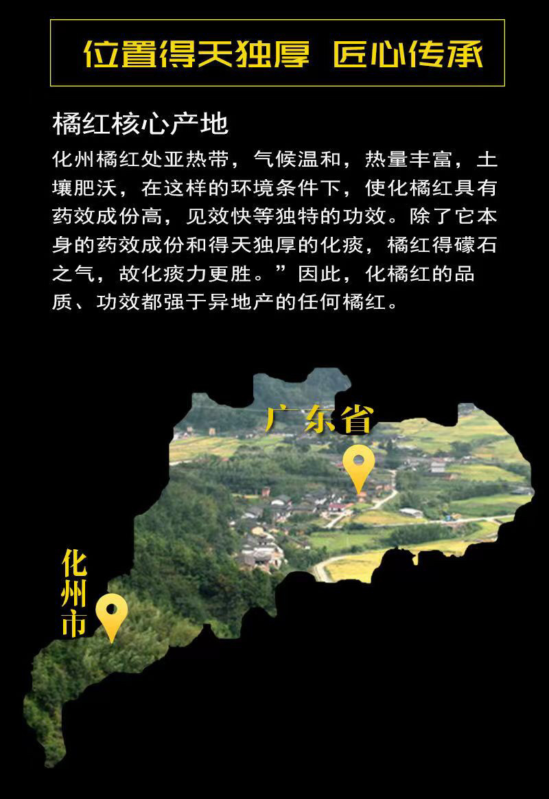 【化州发货】25年化橘红满天星道地药材化州橘红包邮